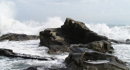 監督:沖津賢一郎