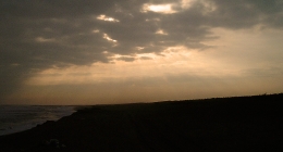 主演:沖津賢一郎