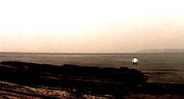 主演：沖津賢一郎